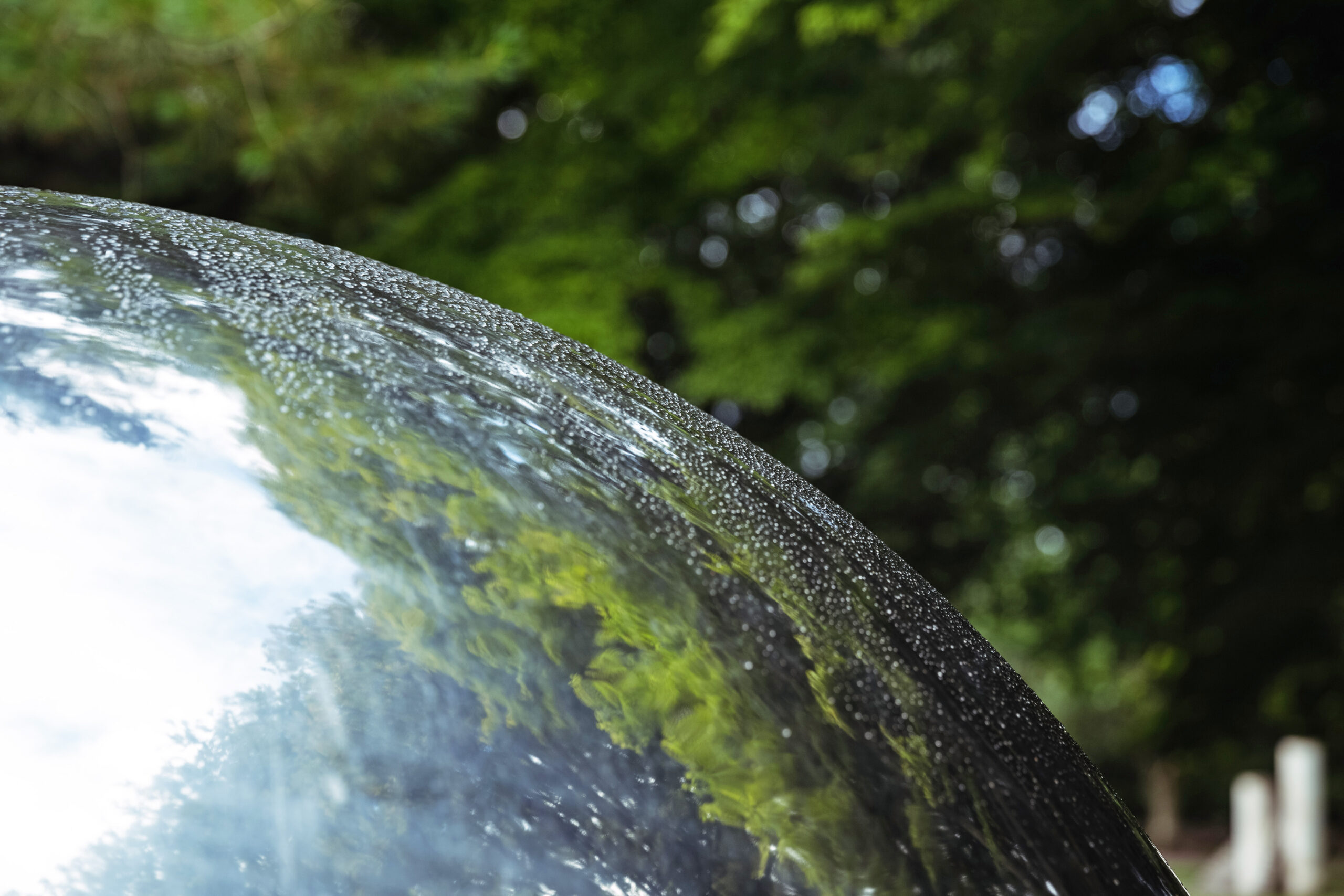 Close-up of mirror ball in garden