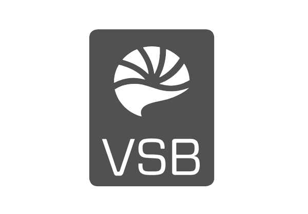 cte vsb